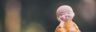 monk, figure, relaxed, religion, buddha purnima, meditation, relaxation, peace, buddha